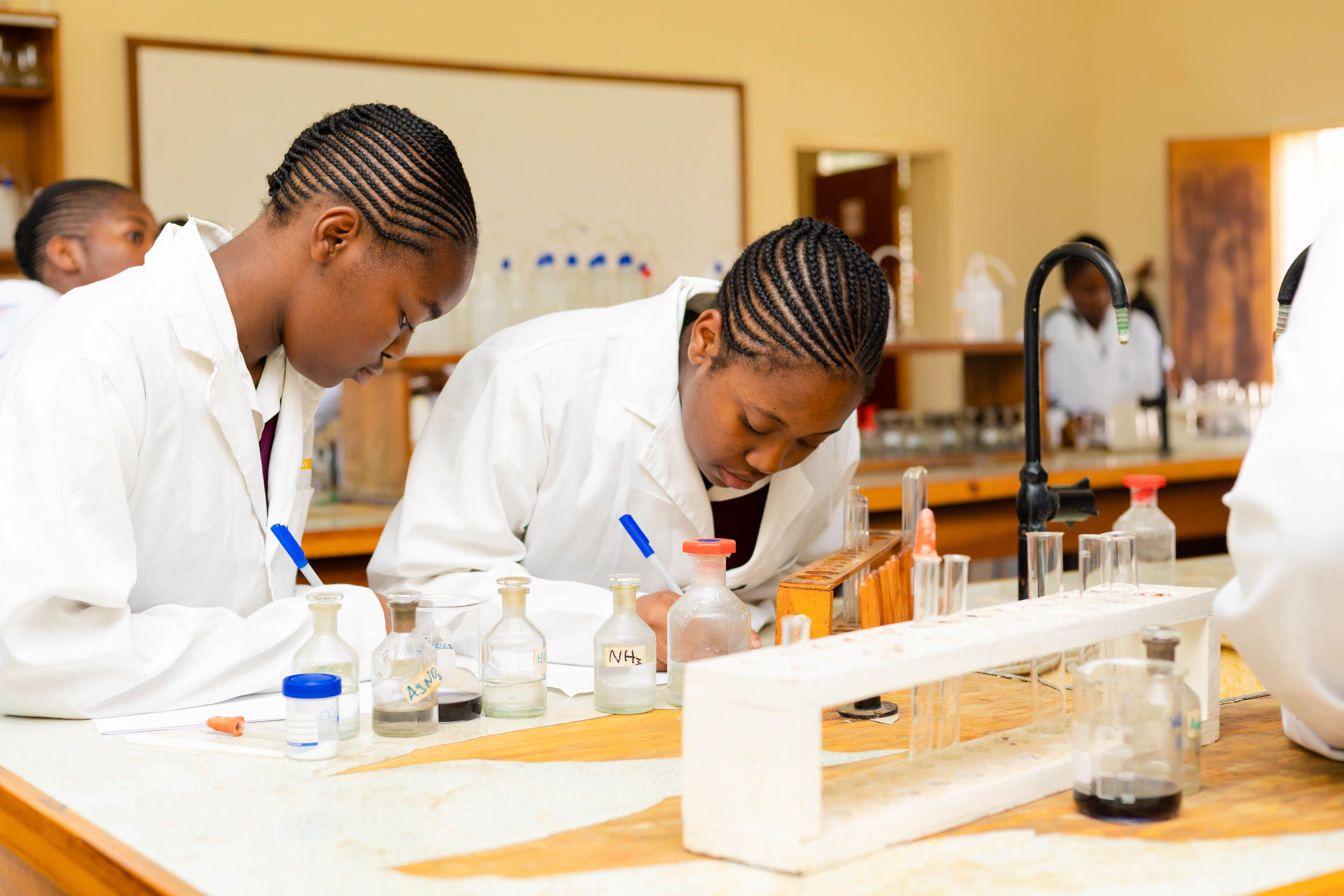 Students conducting science experiments in the laboratory